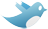 twit